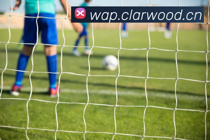 hth华体网页版登录入口APP 体育赛事宣传图